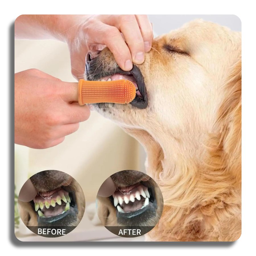 ✨Magical✨Finger Toothbrush 6Pcs Dog&Cat360º Silicone