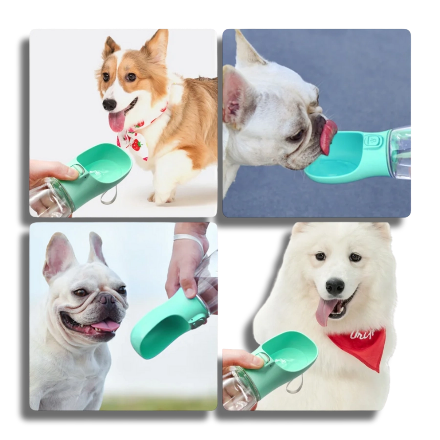 ✔️Portable Dog Cat Water Bottle  Small Large Bowl Outdoor Walking Travel