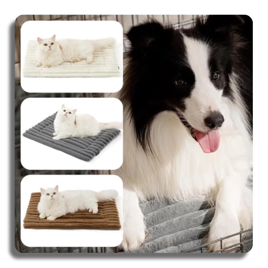Product variety showcase showing the self-warming mat in white, grey, and brown colors with a dog in a crate.