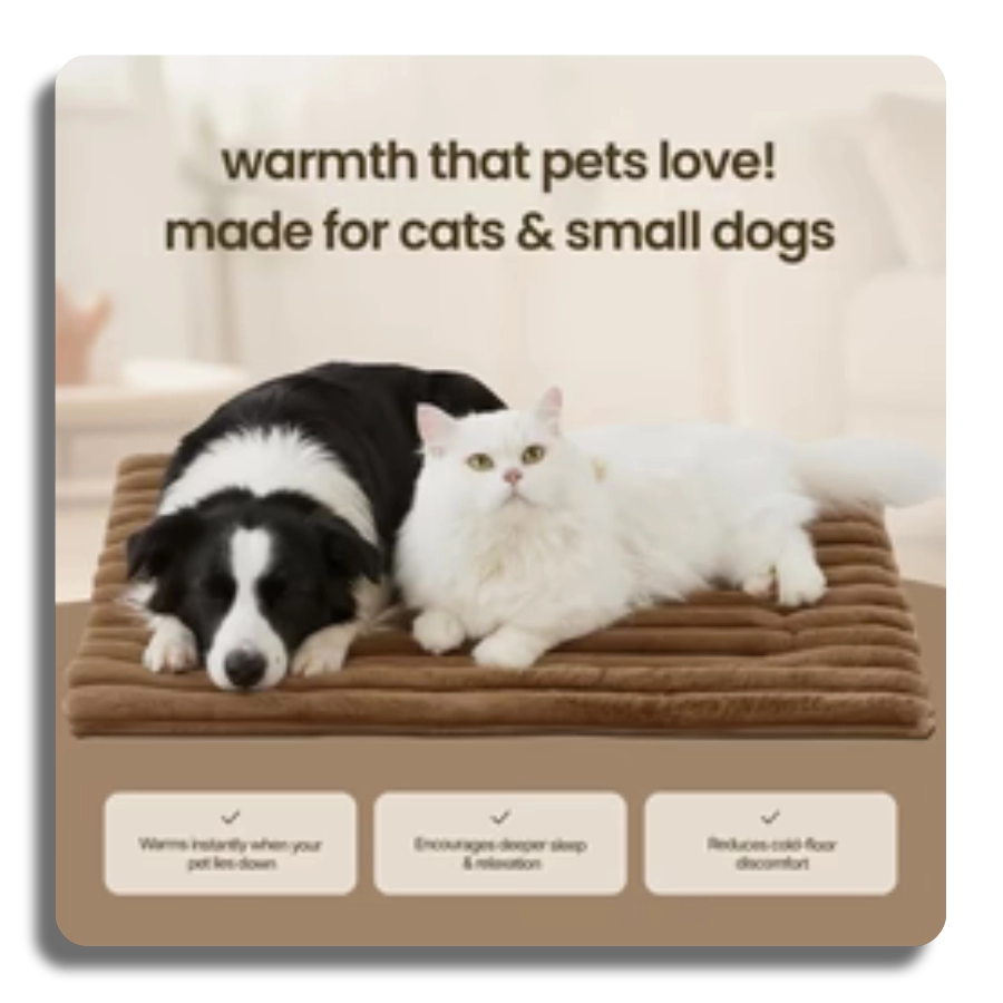 Social proof image of a white cat and Border Collie sharing a brown thermal mat with text 'warmth that pets love'.
