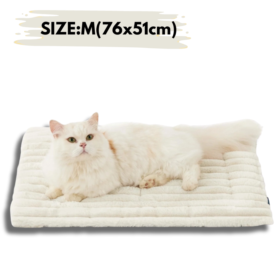 Medium cream-white self-heating pet mat 30x20in (76x51cm) reflecting natural body heat for warmth.